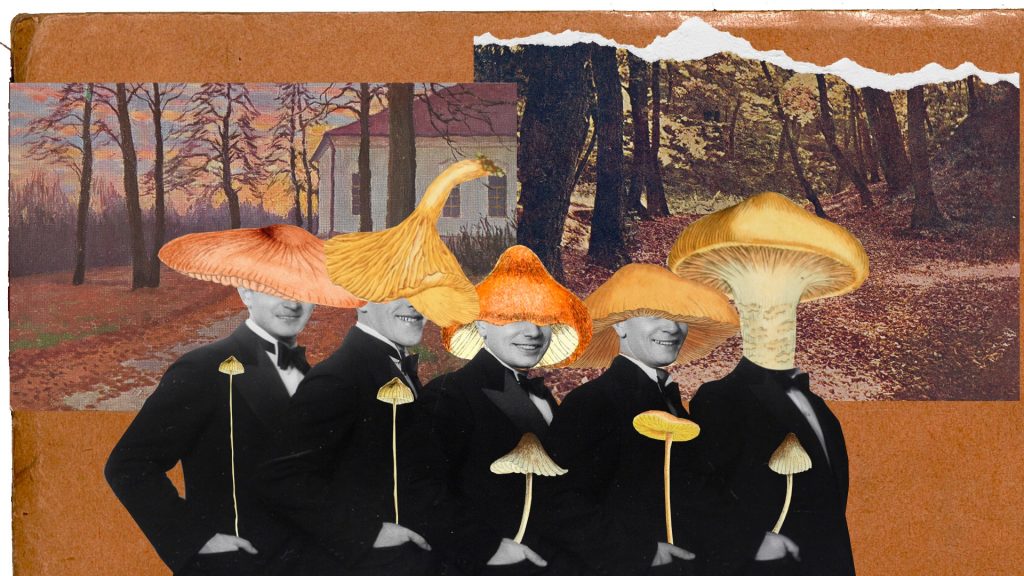 Alicja Majewska - Connoisseurs of Another Day- The premiere 6 316677678 10158676142951577 5258350259589295966 n