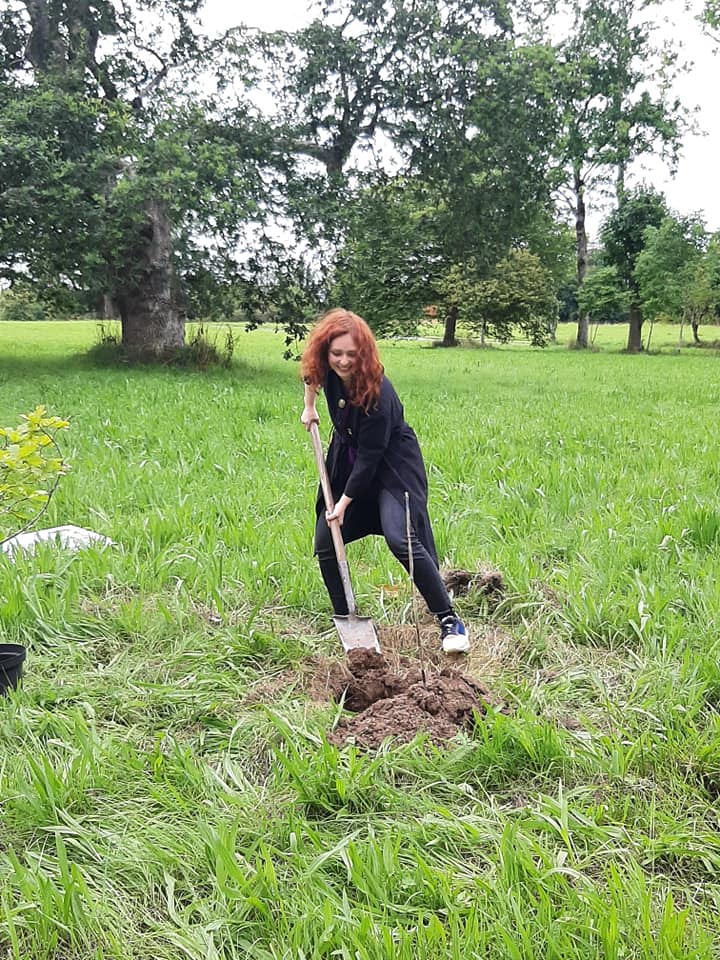 Empty Columns Are A Place To Dream 10 Birr Castle Gardens Marta Janik