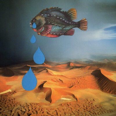 ryba na pustyni2