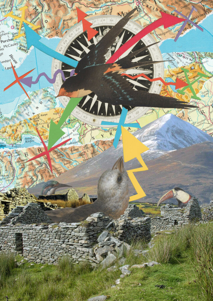 Międzynarodowa wystawa "Migracje/Migration" 17 Anthony D. Kelly