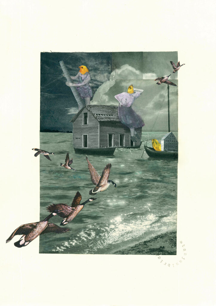 Międzynarodowa wystawa "Migracje/Migration" 23 Tanja Ulbrich