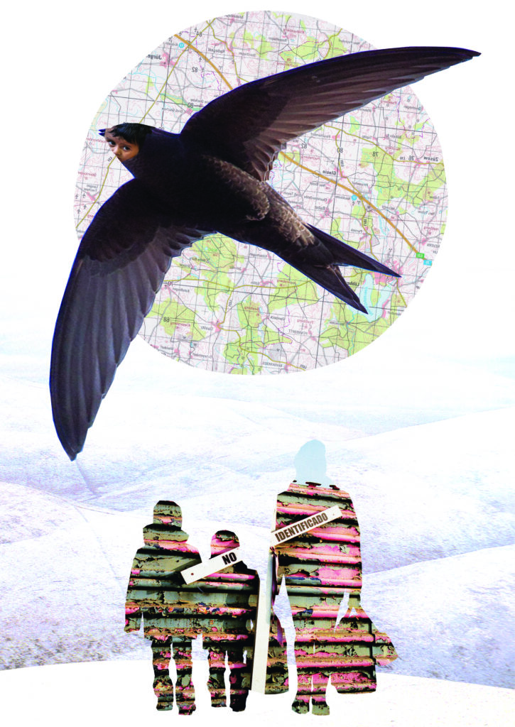 Międzynarodowa wystawa "Migracje/Migration" 15 Una Gildea