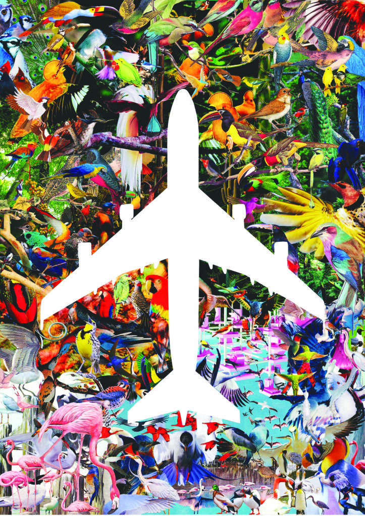 "Migracje/Migration" - International Collage Exhibition 12 Jerome Bertrand