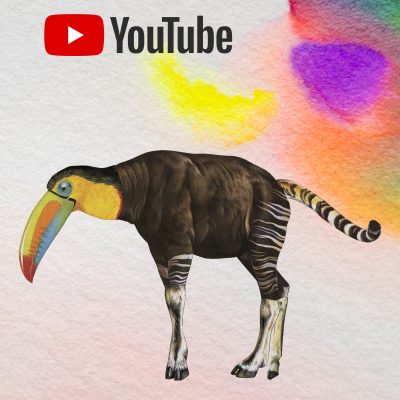 animal youtube
