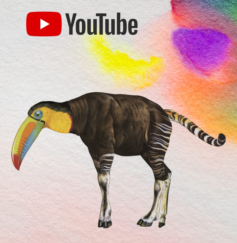 animal youtube